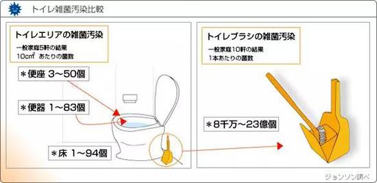 （厕所中的杂菌，这里的床是地面的意思，来源：https：//scjcatalog.johnson.co.jp/life/souji_jyutsu/knowledge_03.html）