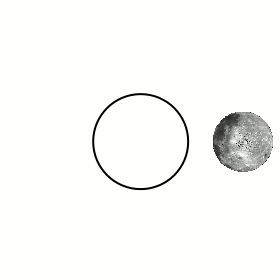 动图：图为非潮汐锁定示意图，这种情况下能看到月球背面。（图片来自Stigmatella aurantiaca）