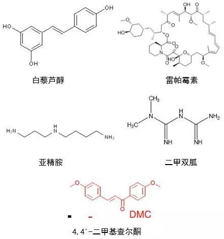 各大“不老神药”真身  （图片来源：网络）